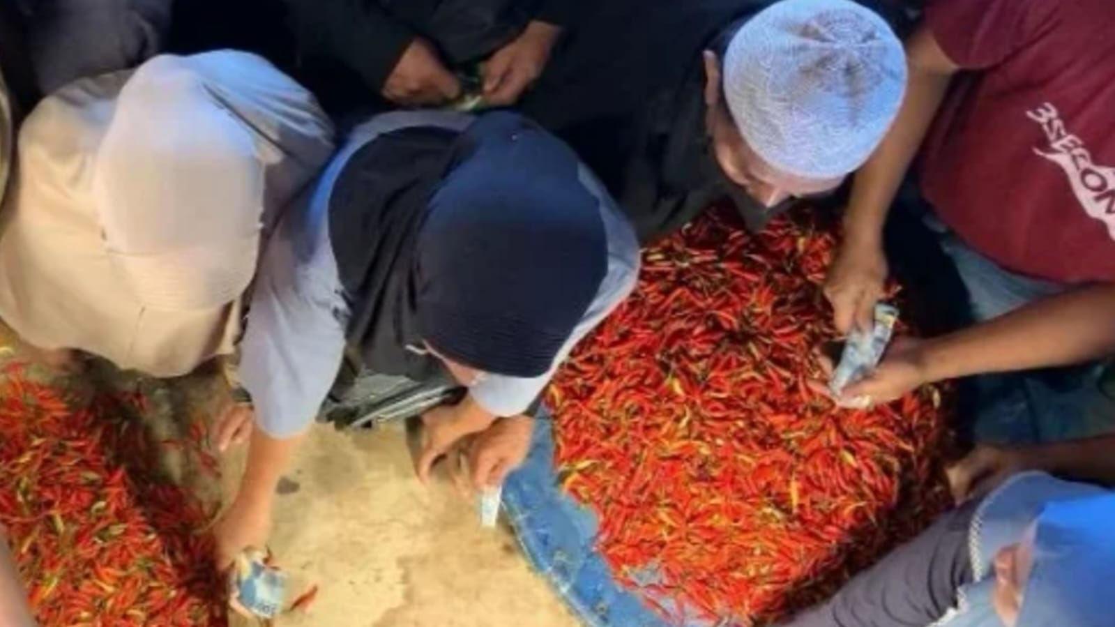 Cabai Rawit Probolinggo: Senjata Baru Stabilisasi Harga Rica