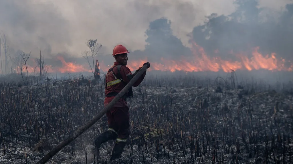 Kebakaran Hutan Sumsel Memuncak: Darurat Ekologi dan Ancaman Kesehatan