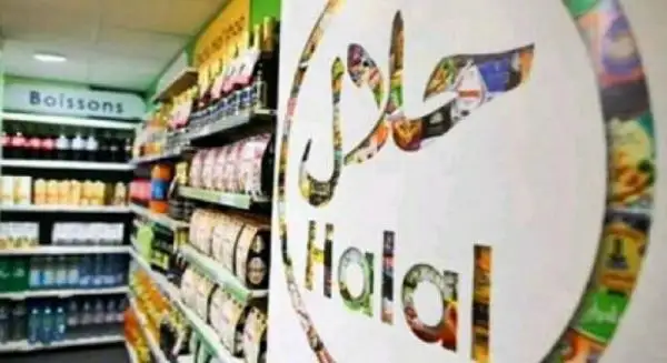 Dari 39 Kerja Sama Internasional ke Pusat Halal Dunia