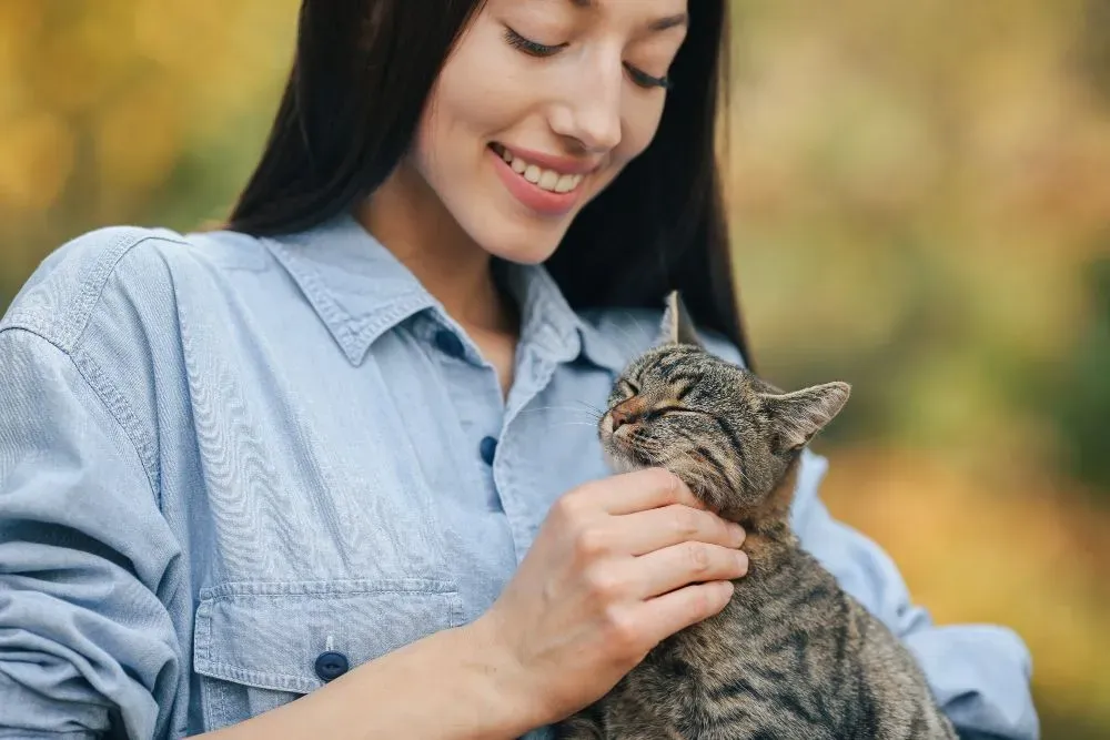 7 Penyebab Kucing Berperilaku Aneh dan Cara Mengatasinya