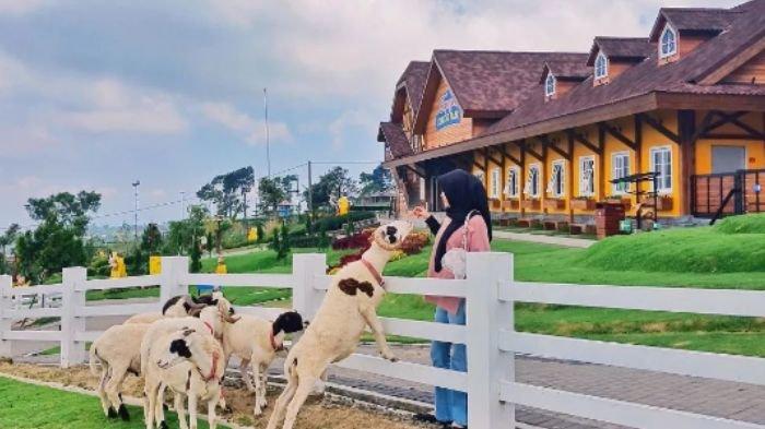 Cara Mendapatkan Tiket Atraksi Murah ke Cepogo Cheese Park dan GWK