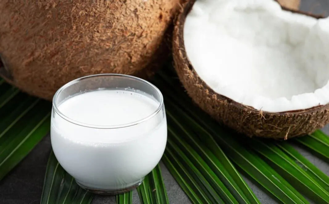 Panduan Menyimpan Kelapa Parut dan Santan agar Tahan Lama