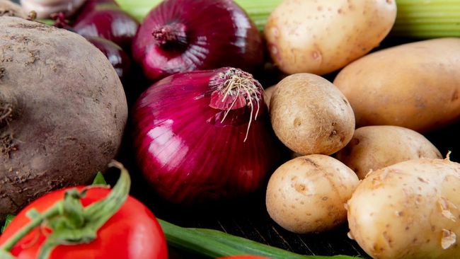 Panduan Lengkap Menyimpan Bahan Makanan di Rumah