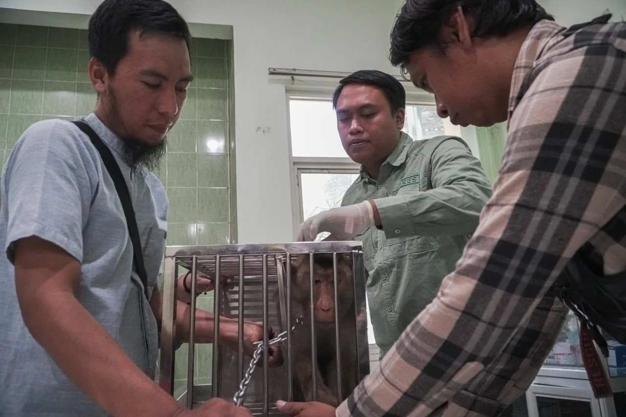 Program Vaksinasi Rabies Gratis Sidoarjo: Jadwal, Lokasi, dan Akses untuk Pemilik Hewan
