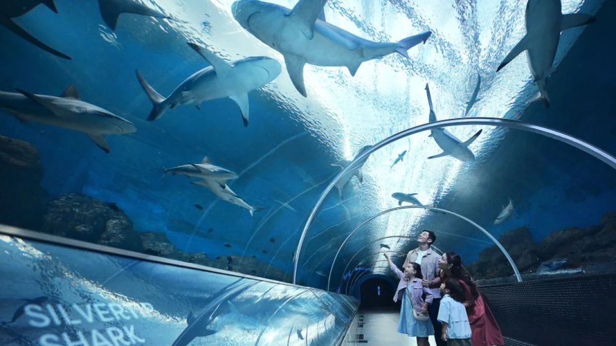 Petualangan Keluarga hingga Liburan Mewah di Resorts World Sentosa