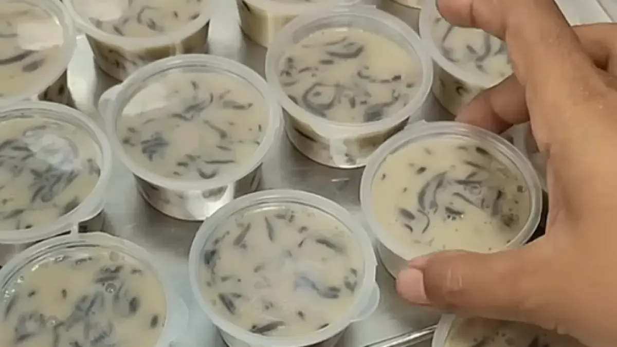 Dua Dessert Rumahan Tanpa Mixer: Es Krim 3 Bahan dan Puding Cincau Cappuccino
