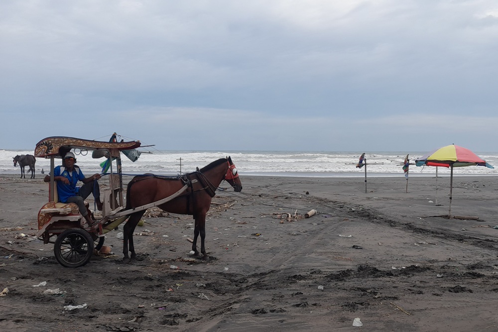 Panduan Lengkap Tarif Tiket Masuk Pantai dan Biaya Layanan
