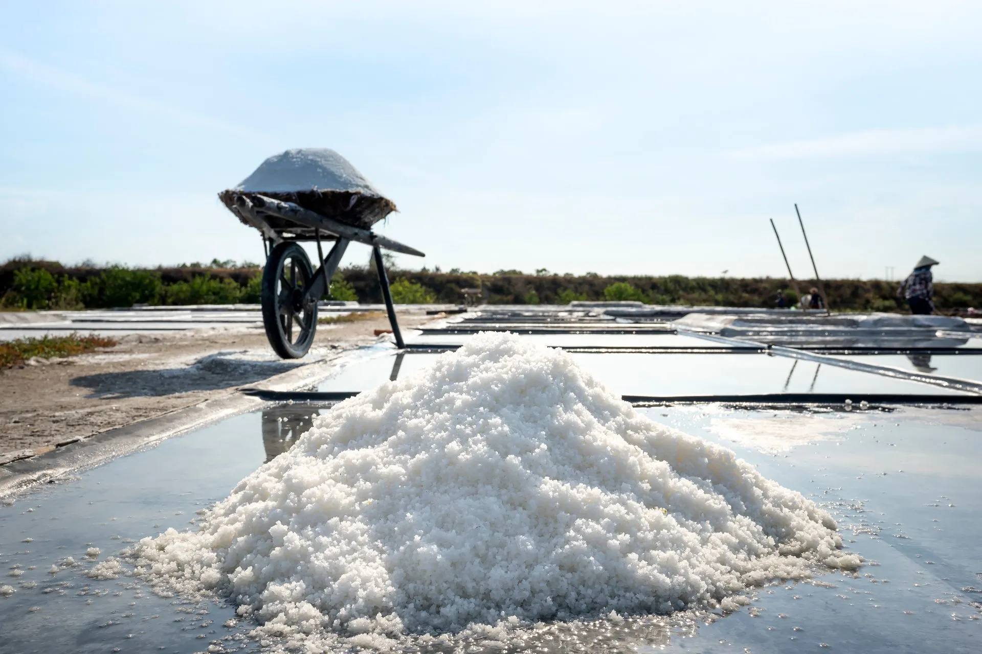 Mikroplastik dalam Garam dan Spons: Ancaman Sunyi di Dapur