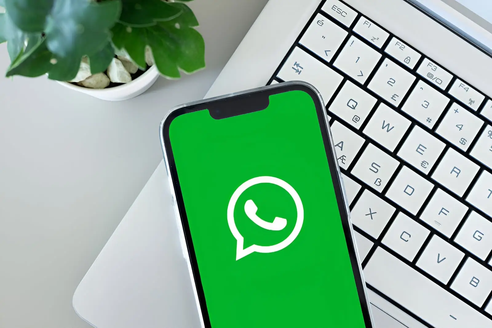 WhatsApp Penyimpanan Penuh? Begini Cara Mengendalikannya
