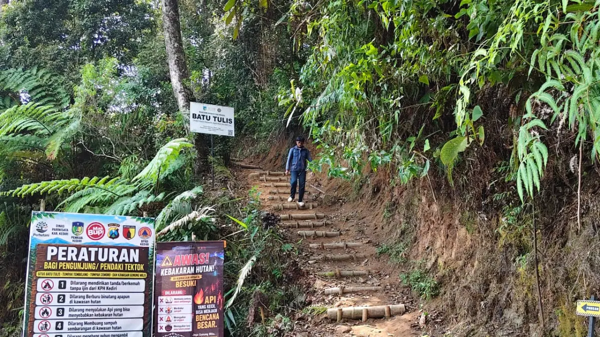Jalur Pendakian Batu Tulis untuk Pemula dan Kesehatan Jantung