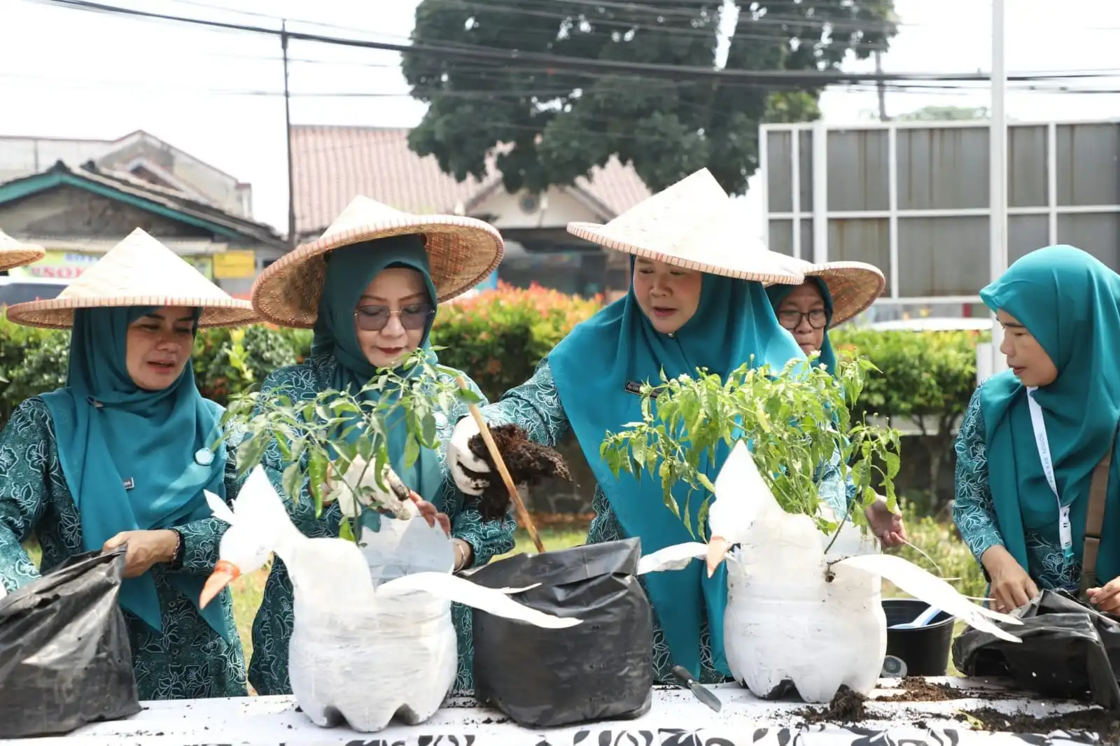 Dari Program Petani Berdasi ke Tanam Cabai Mandiri