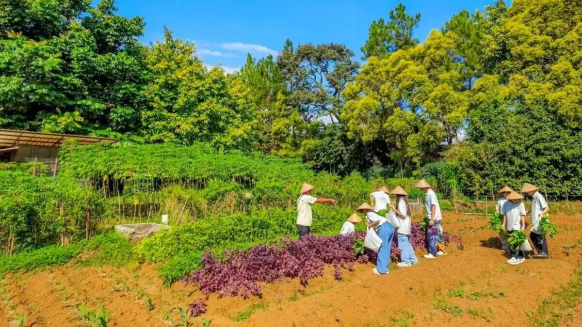 Kebun Edukasi Sekolah: Outing Pertanian yang Mengubah Cara Anak Belajar