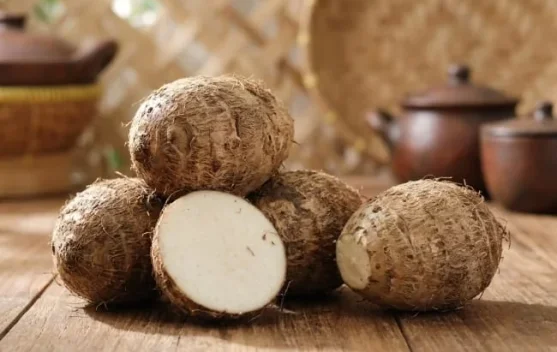 Kimpul: Umbi Lokal Bebas Gluten untuk Menu Sehat Keluarga