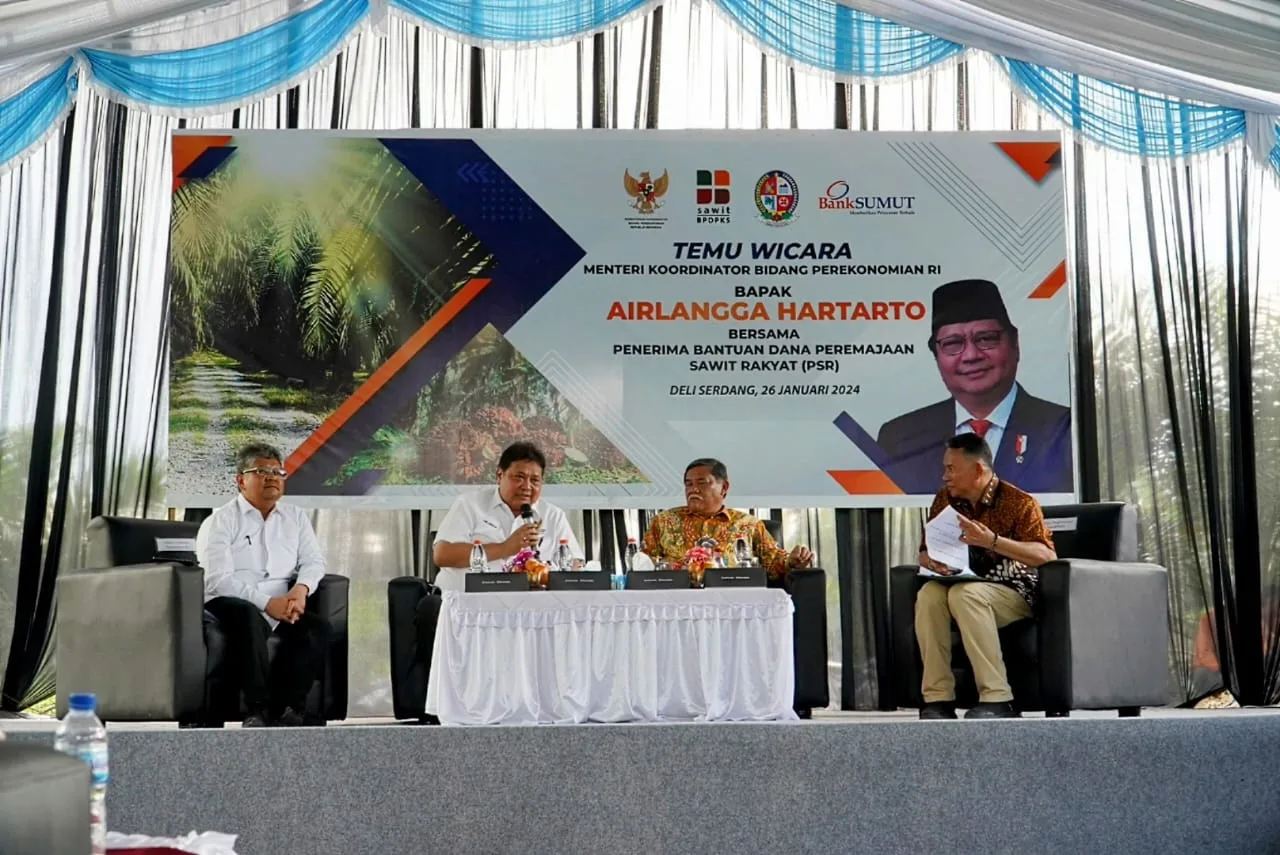 Program Peremajaan Sawit Rakyat Riau: Target Tercapai, Akselerasi Masih Tersendat