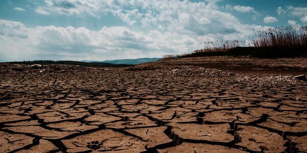 El Niño Terkuat dan Krisis Kabut Asap di Kawasan