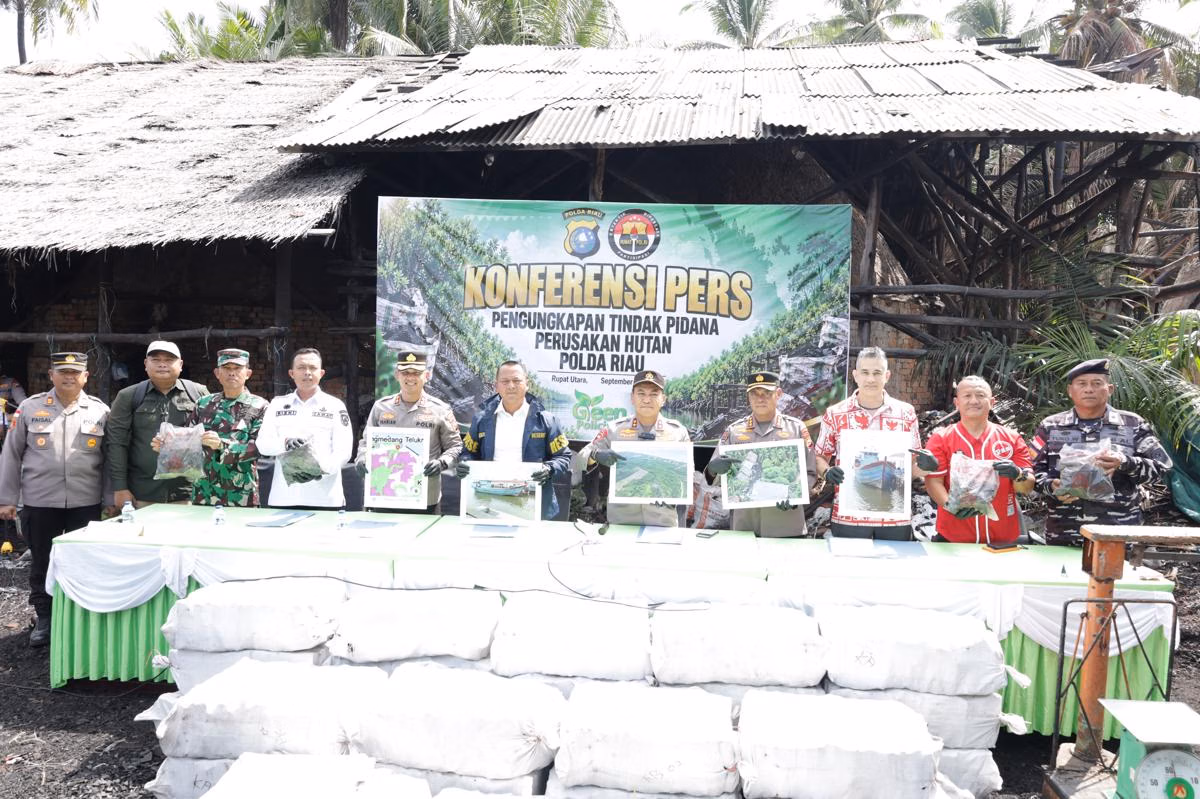 Polisi Bongkar Jaringan Arang Bakau Ilegal Pulau Rupat