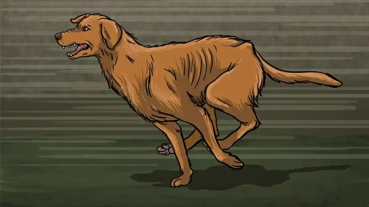 Wabah Rabies pada Anjing Muda dan Vaksinasi Darurat Massal