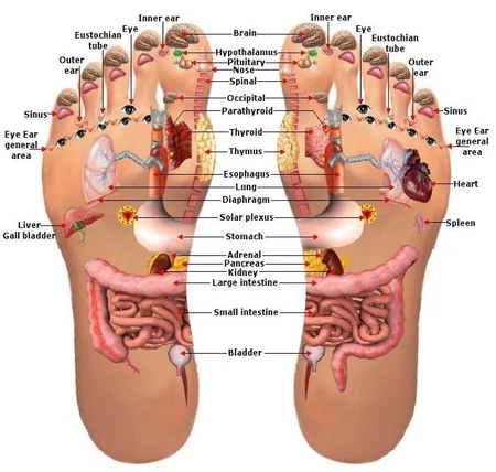 Pijat Titik Refleksi Kaki Sebelum Tidur untuk Relaksasi Mendalam