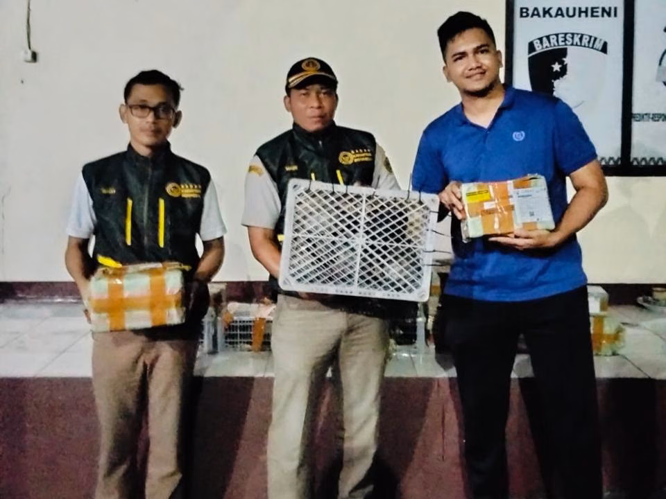 70 Kura-Kura Disita: Mengapa Protokol Karantina Satwa Tak Bisa Ditawar