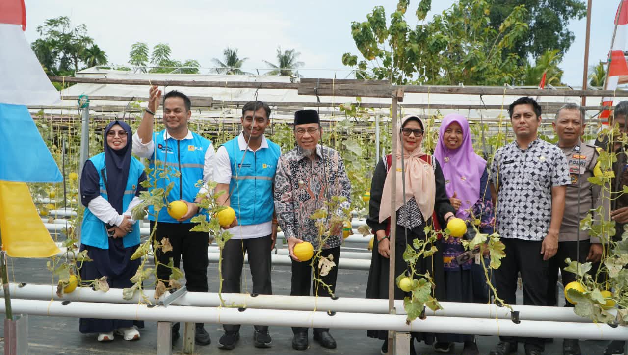 Elektrifikasi Pertanian Perkotaan: PLN dan Greenhouse Melon di Pauh