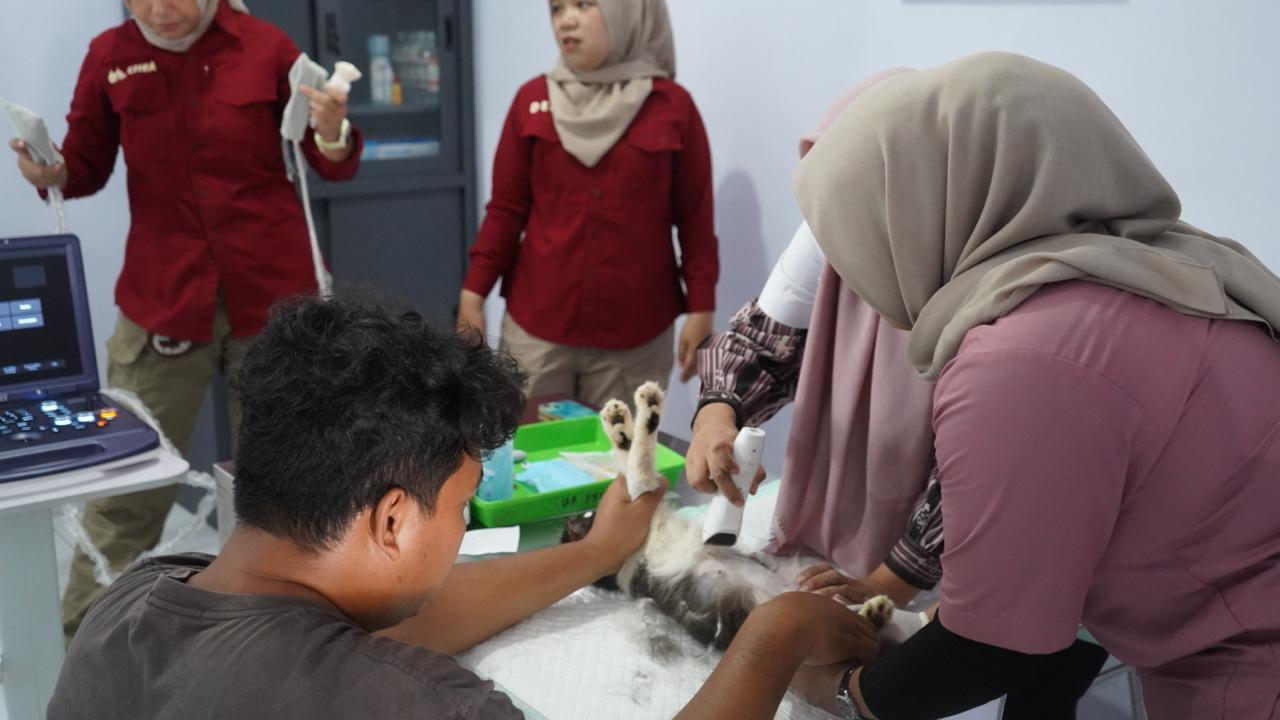 Kolaborasi Kampus dan Daerah Mengubah Wajah Layanan Medis Hewan