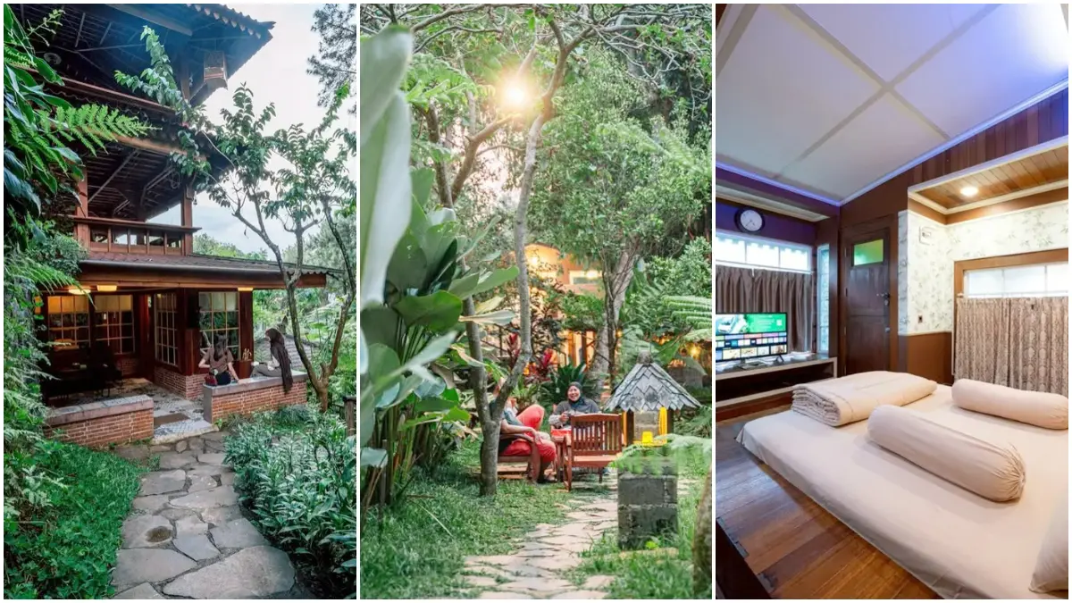 Staycation Terjangkau di Tengah Hutan: Penginapan Alam Mulai Rp350 Ribu