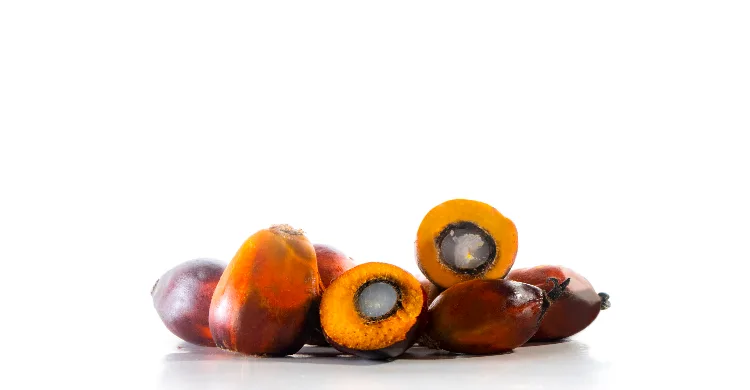 Minyak Sawit Merah: Superfood Tradisional yang Terlupakan