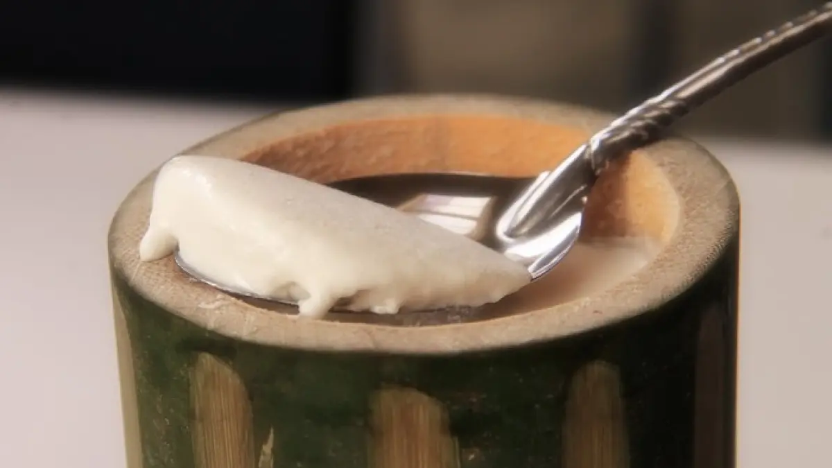 Panduan Lengkap Membuat Yogurt Fermentasi di Rumah dan Dadiah Minang