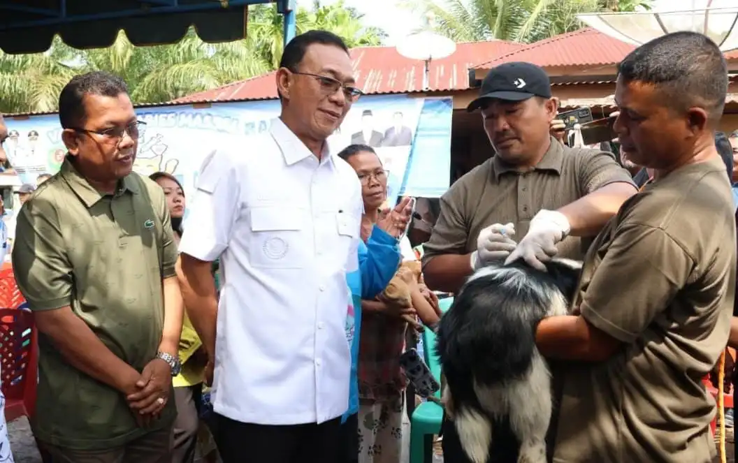 Vaksinasi Rabies Massal Daerah: Target 15.000 Hewan Menuju Bebas Rabies