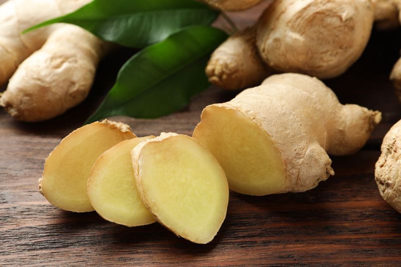 Rempah dan Jus Bergizi untuk Perkuat Daya Tahan Saat Pancaroba