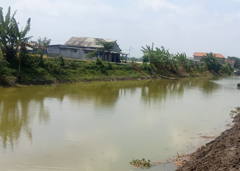Pompa Air dan Irigasi Sawah: Benteng Terakhir Cegah Gagal Panen