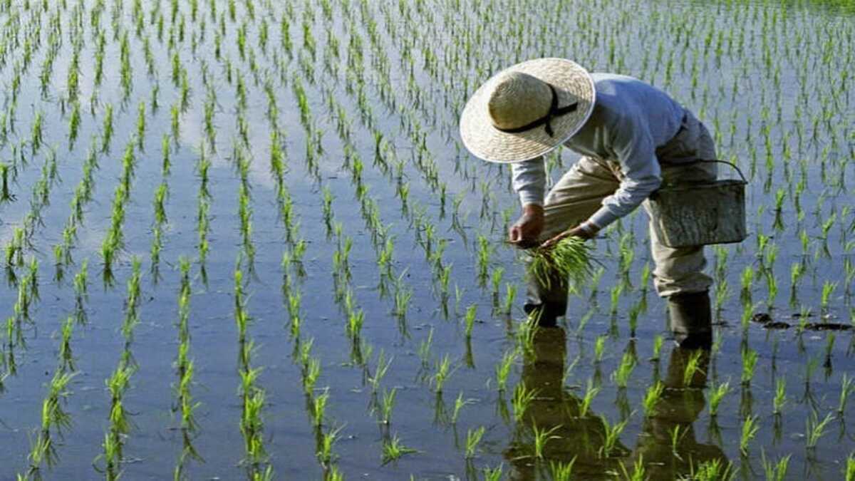 Kerja di Jepang demi Membahagiakan Orang Tua: Berat tapi Mengubah Hidup