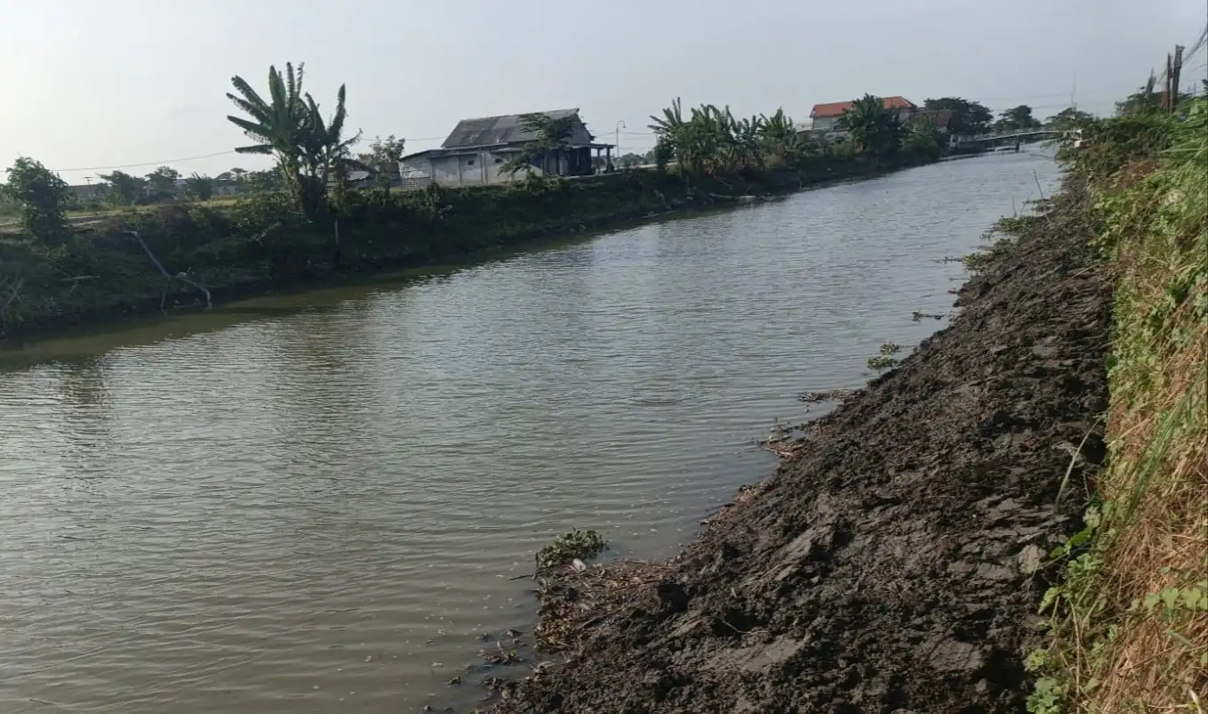 Pompa Air dan Irigasi Sawah: Benteng Terakhir Cegah Gagal Panen