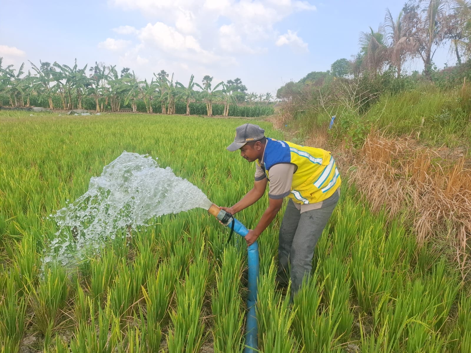 Pompa Air dan Irigasi Sawah: Benteng Terakhir Cegah Gagal Panen