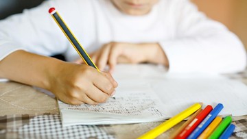6 Kebiasaan Harian di Rumah yang Membuat Anak Sulit Fokus Belajar