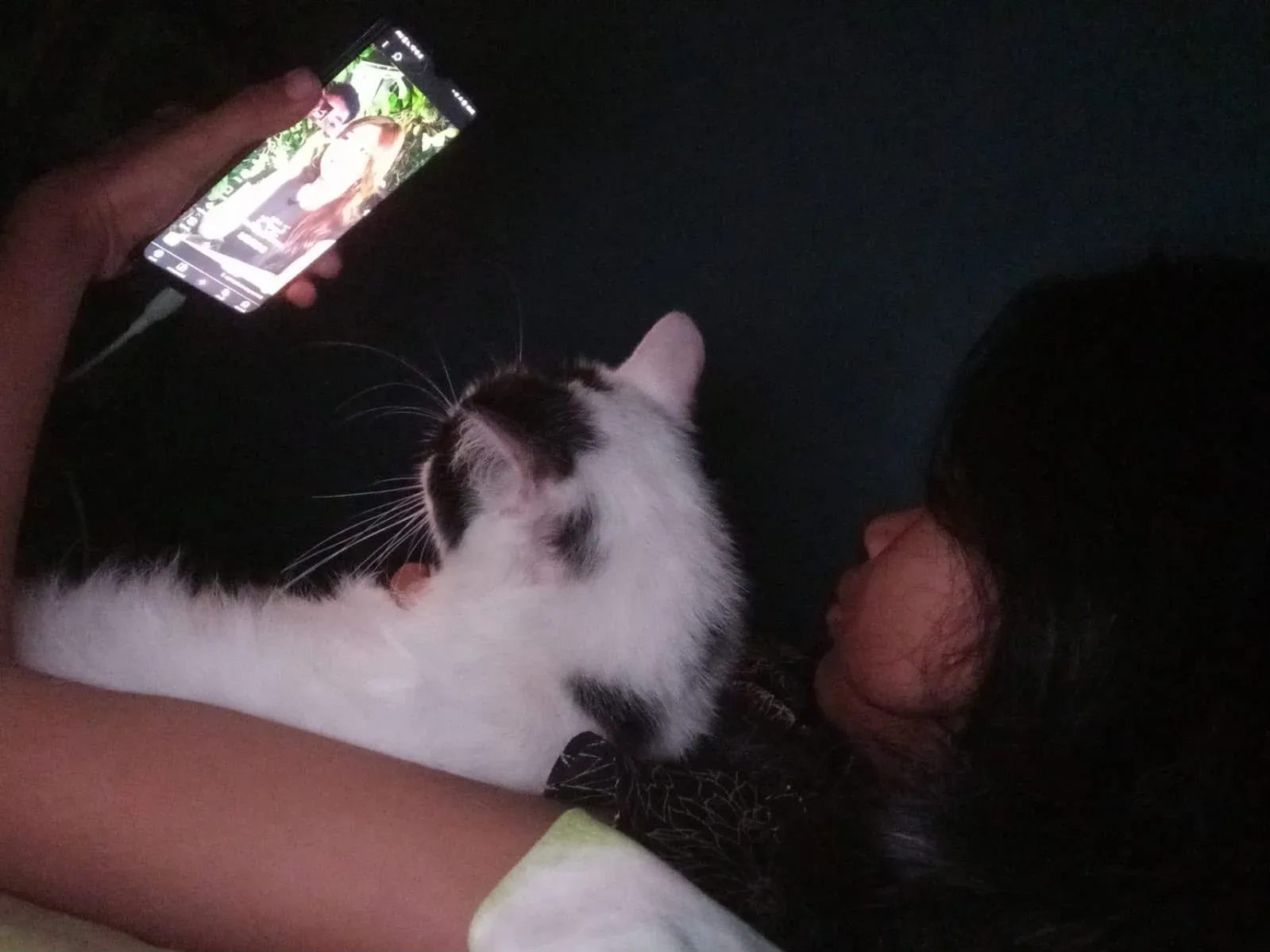 Ponsel di Samping Bantal: Musuh Tidur Nyenyak yang Kita Pelihara Sendiri