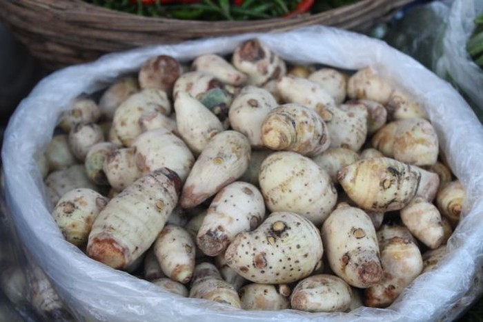 Umbi Tradisional: Talas, Ube, dan Kimpul sebagai Sumber Serat dan Energi Harian