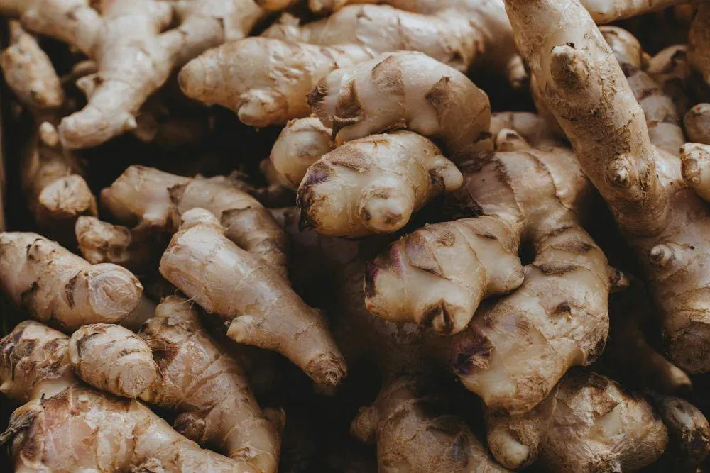 Membangun Kebun Obat Mini untuk Skincare Alami di Rumah