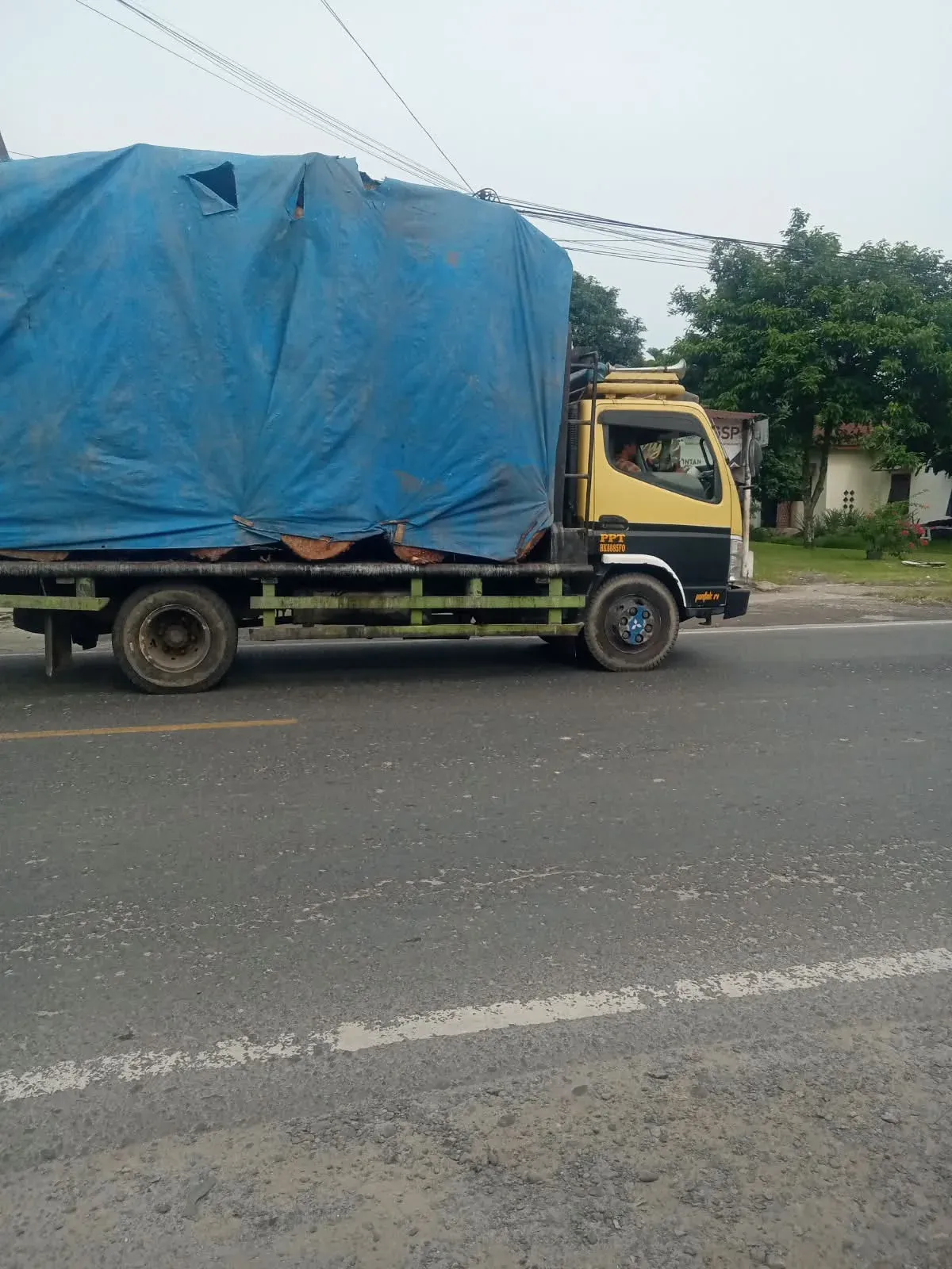 Truk Kayu Gelondongan Malam Hari dan Mandeknya Penegakan Hukum