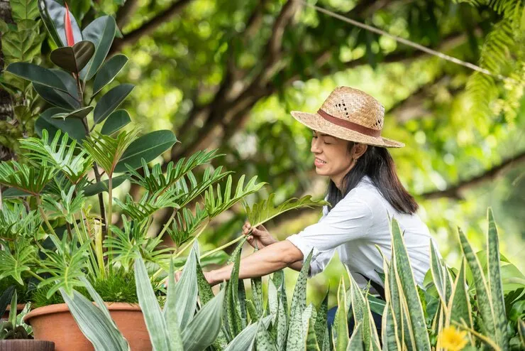 Tiga Pilar Longevity: Makan, Relasi, dan Ikigai