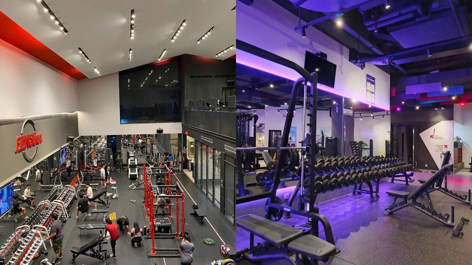 Gym Berevolusi Menjadi Ruang Komunitas dan Wellness