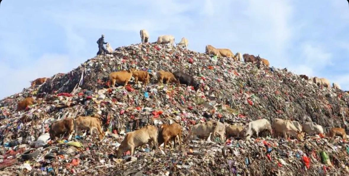 Dari Sampah Menjadi Aset: TPA Tamangapa dan Peluang Perdagangan Karbon