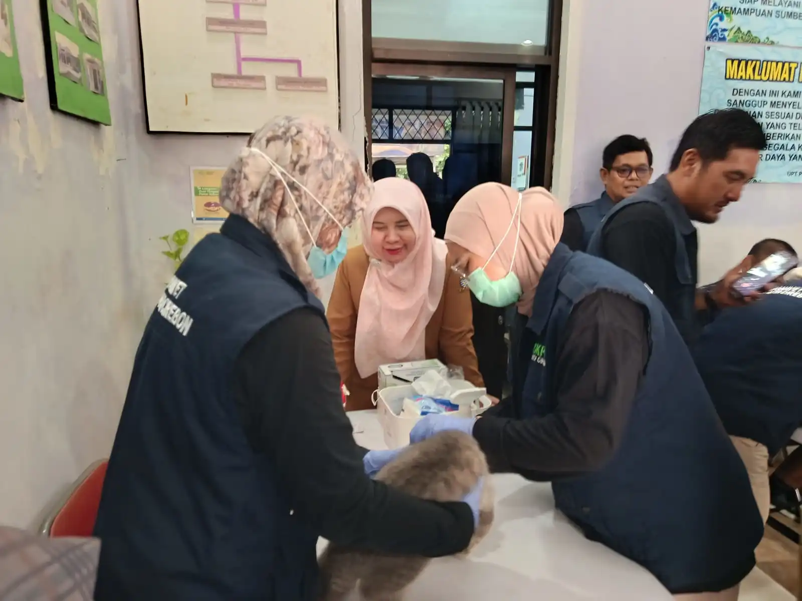 Ratusan Hewan Divaksin Rabies Gratis: Bukti Nyata Program Kesehatan Hewan Berjalan