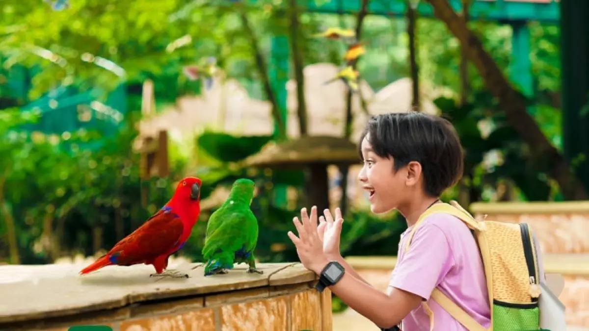 Promo Tiket Ancol Oktober: Bird Land Mulai Rp 41 Ribu & Sea World Diskon