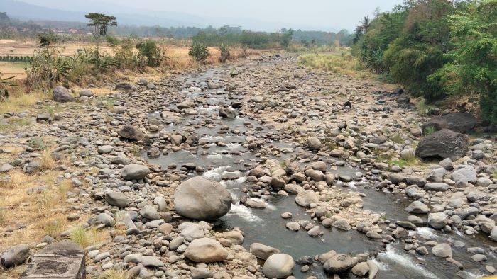 Kekeringan Meluas di Lima Kabupaten: Alarm Keras bagi Krisis Air dan Pertanian