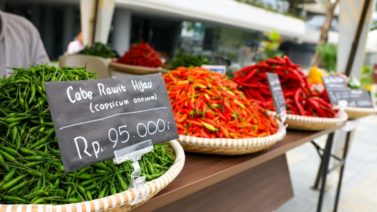 Festival Cabai Nusantara: Pasar Langsung Petani untuk Menahan Gejolak Harga Pangan