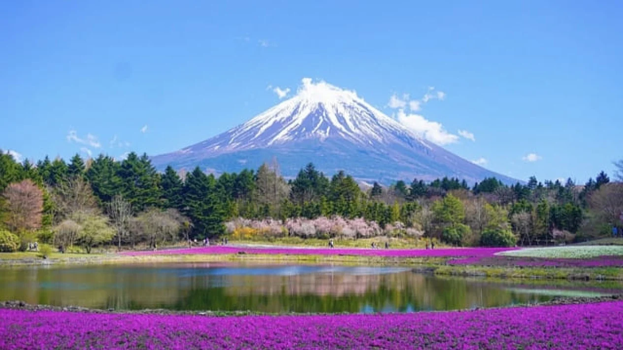 Panduan Liburan Pertama ke Jepang: Lebih dari Sekadar Spot Foto