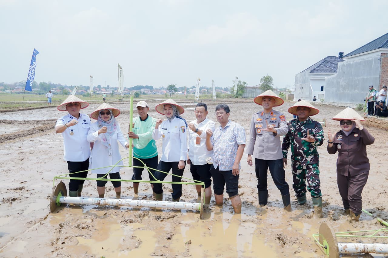 Pertanian Lampung Tumbuh, Nilai Tambah Masih Tersendat