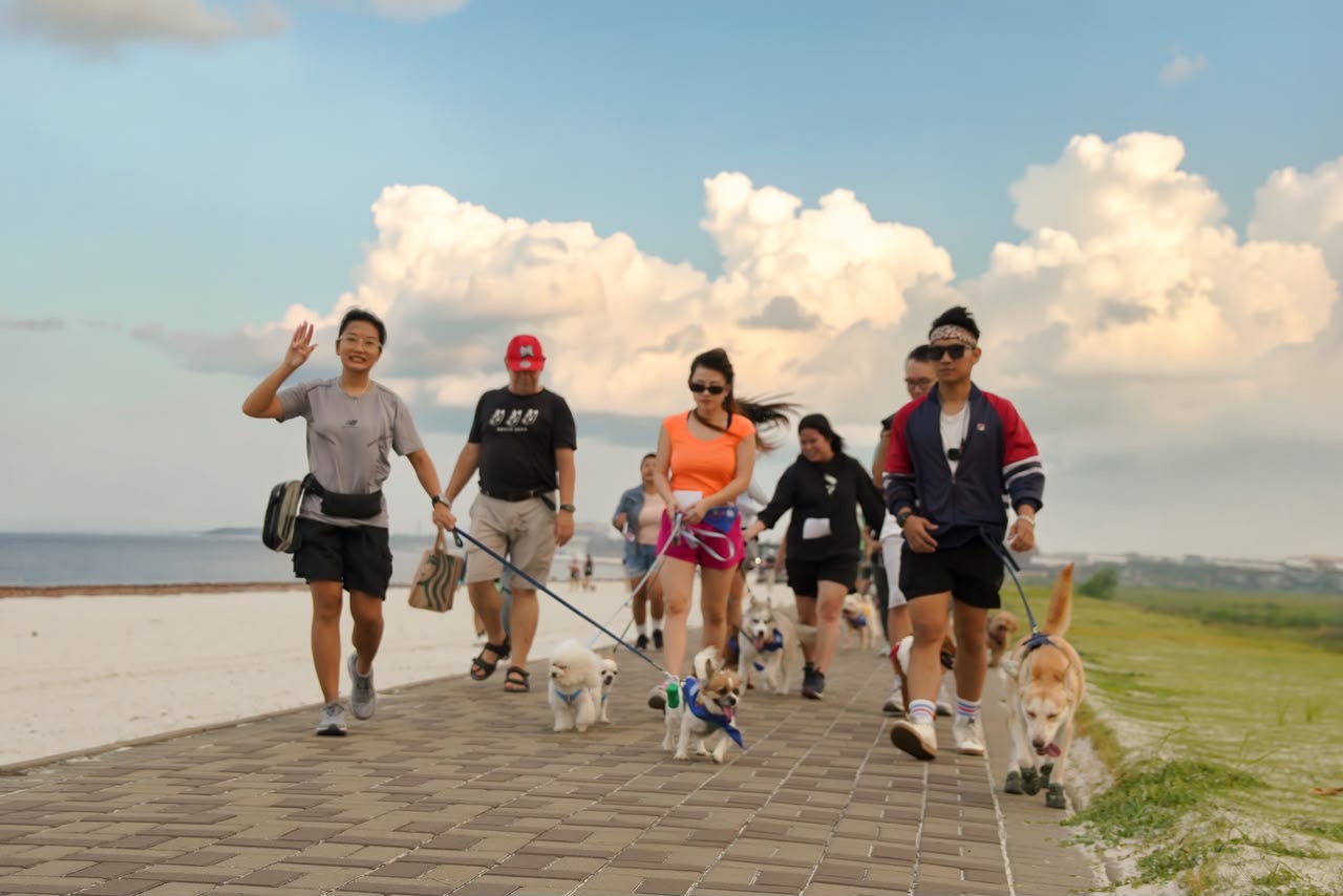 Dari Jogging Pantai hingga Acara Amal: Kekuatan Komunitas Anjing