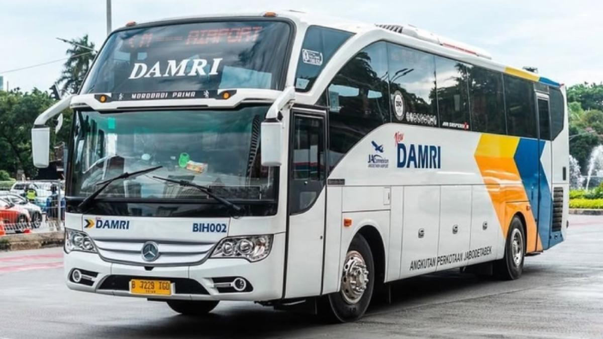 Jadwal dan Tarif Bus DAMRI Bandara Yogyakarta: Cara Termurah Manfaatkan Promo Rp50.000